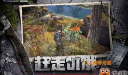 希望谷地最新爆料,揭秘神秘项目背后的惊人真相